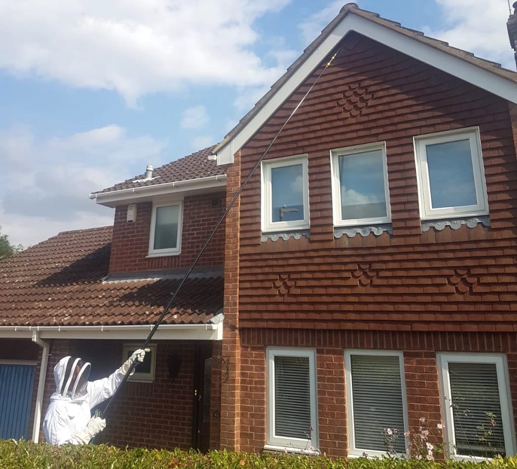 pest_control_maidstone_me14_me15
